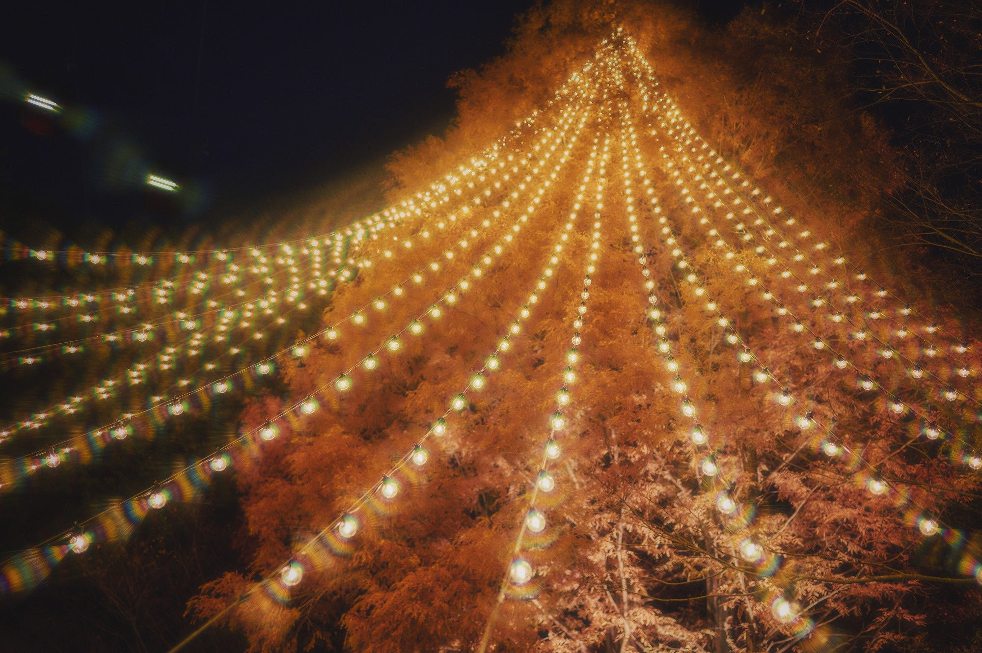 クリスマスツリー　森 クリスマスの森 【セット】クリスマスツリー 3段 と 星のトップ