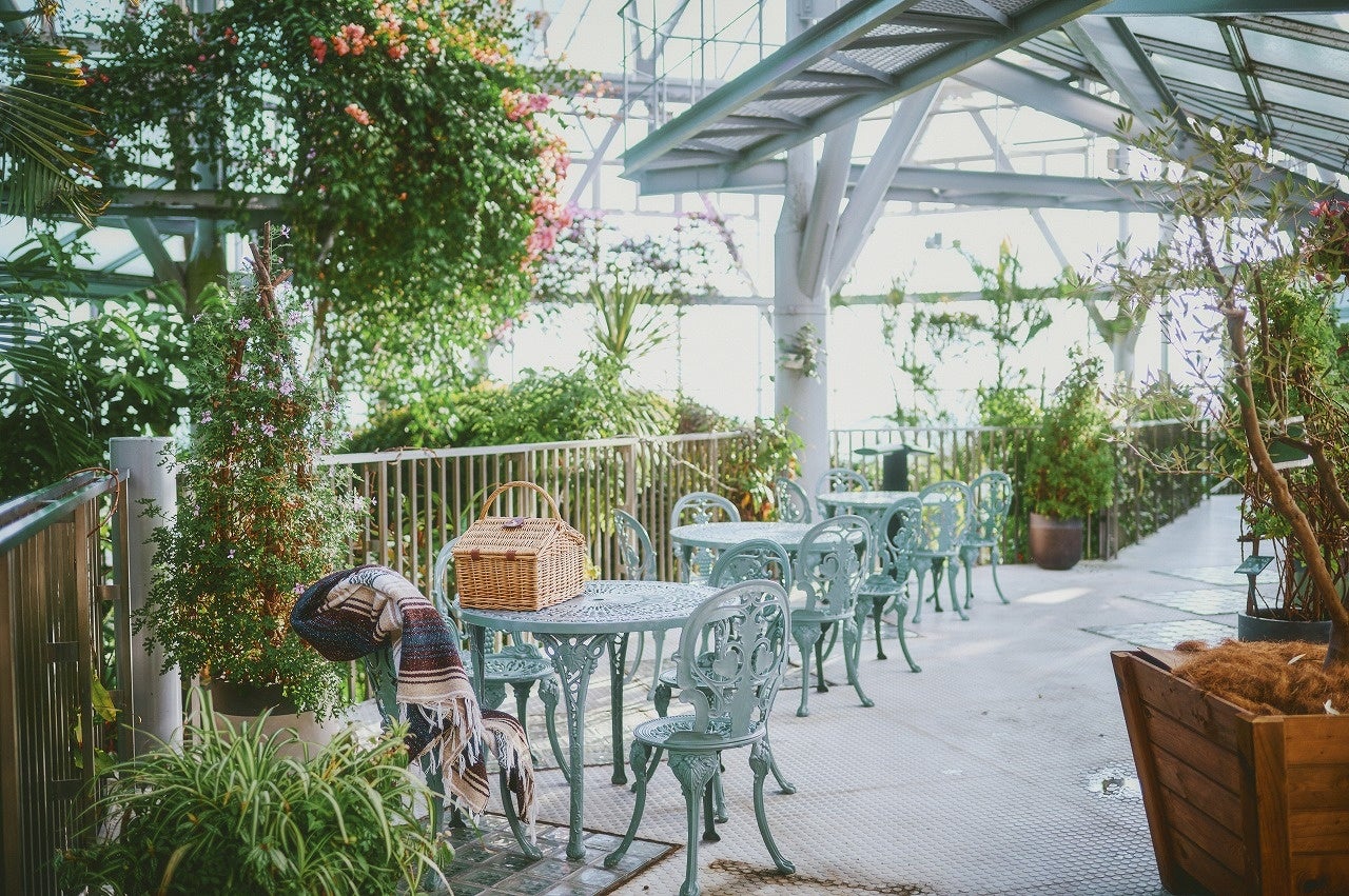 グラスハウス（温室）