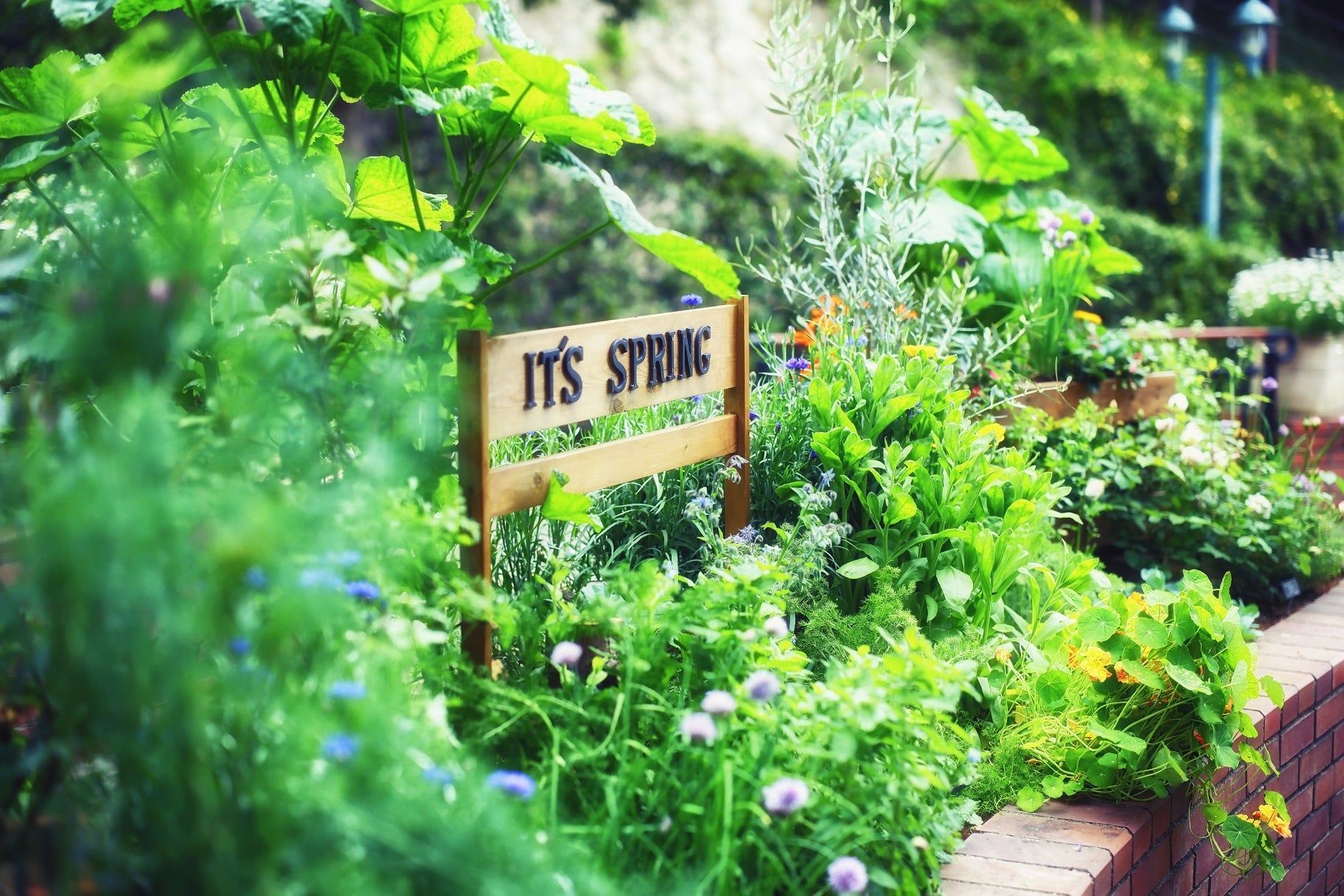 ハーブミュージアム