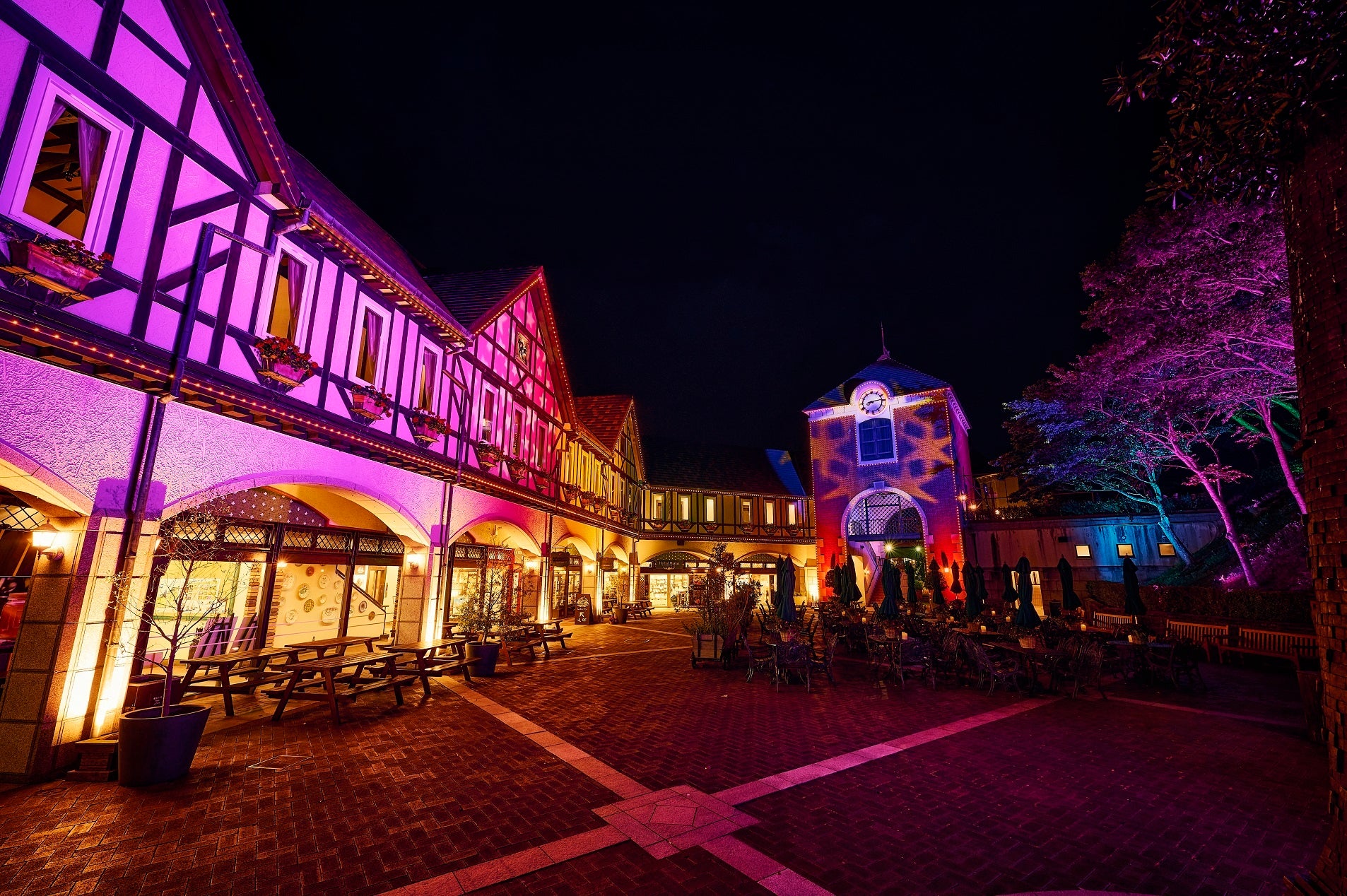 光の森～Forest of Illuminations～