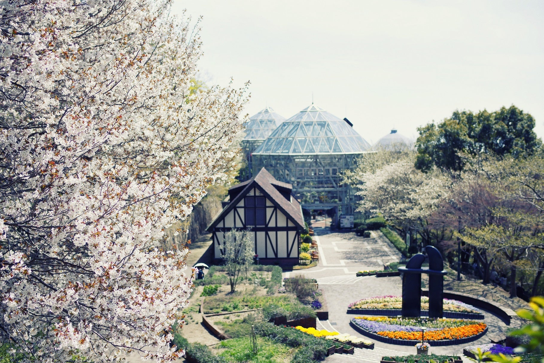 山桜とグラスハウス