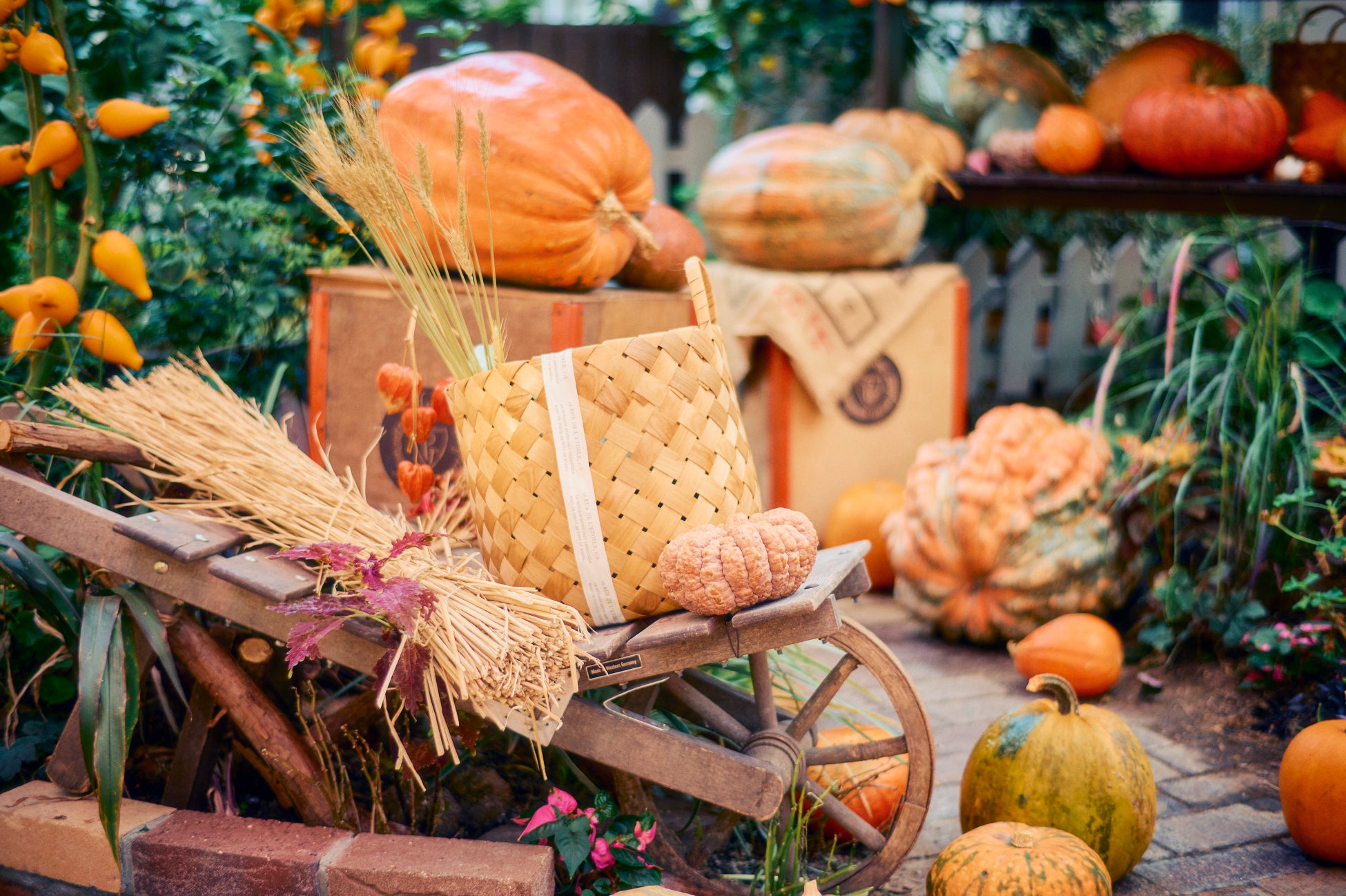 グラスハウス エントランス