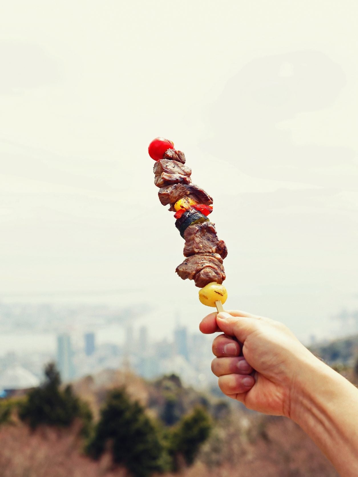 子羊のブロシェット