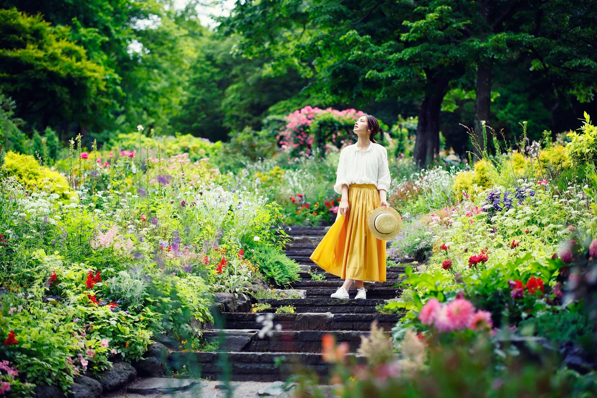 まるで絵画の中に迷いこんだような ロケーション 神戸布引ハーブ園のコンセプトガーデン 四季の庭 が今まさに最盛期です 色とりどりのハーブ フラワーが創り出す色 香りの世界をご堪能いただけます 神戸リゾートサービス株式会社のプレスリリース