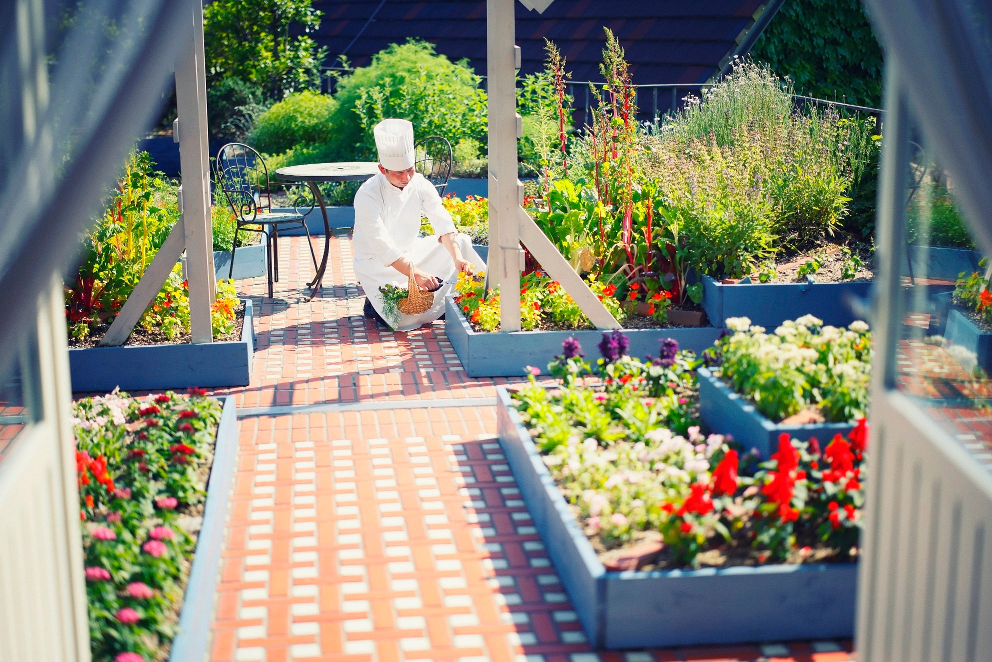 シェフズガーデン