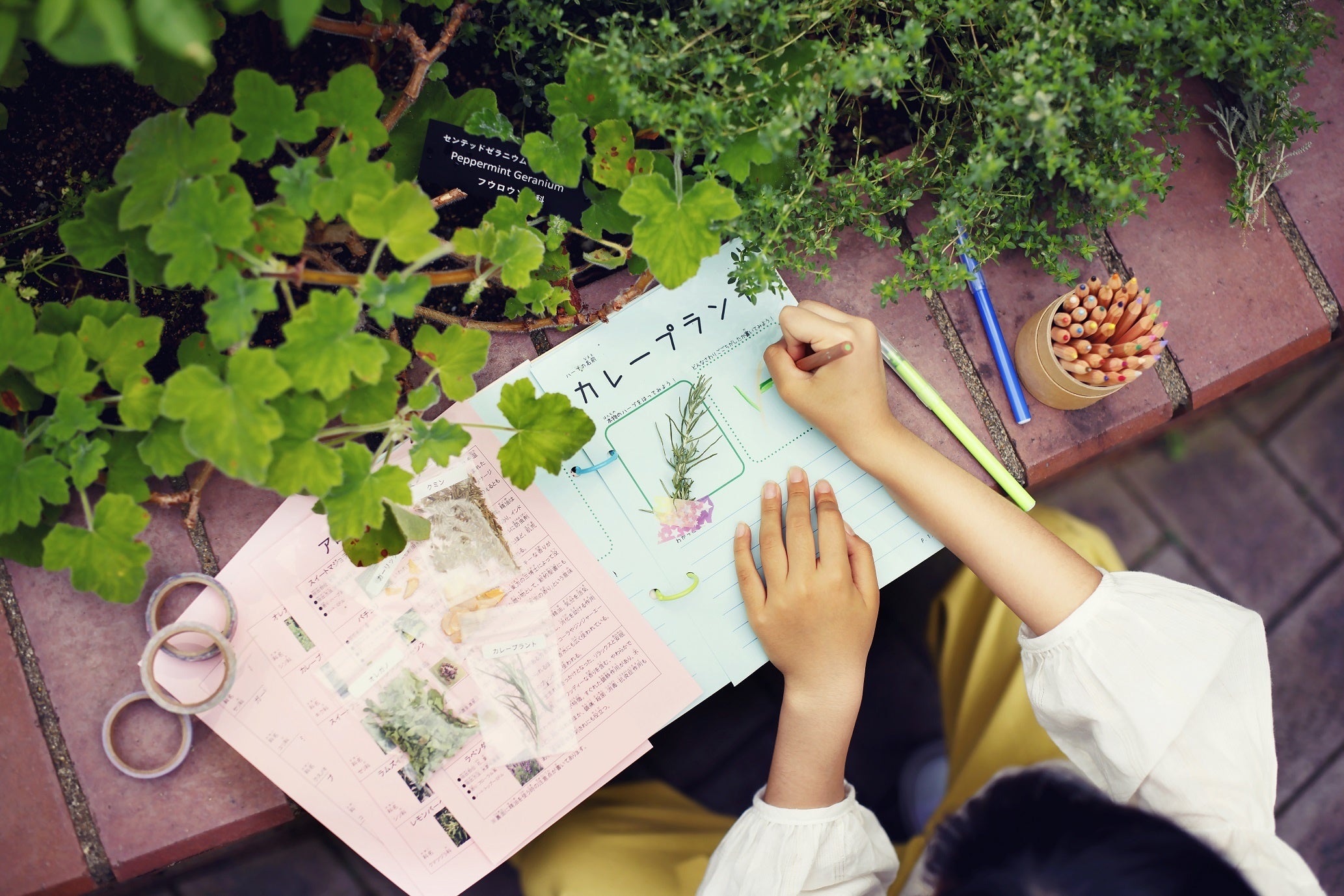 ハーブガイドブックをつくろう