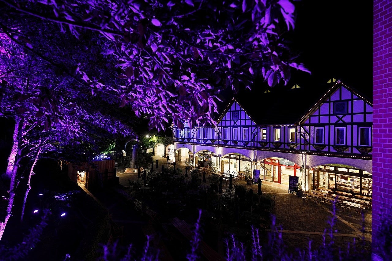 光の森～Forest of Illuminations～と展望レストハウス