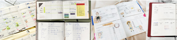 セパレートダイアリー　TETEFU使用事例