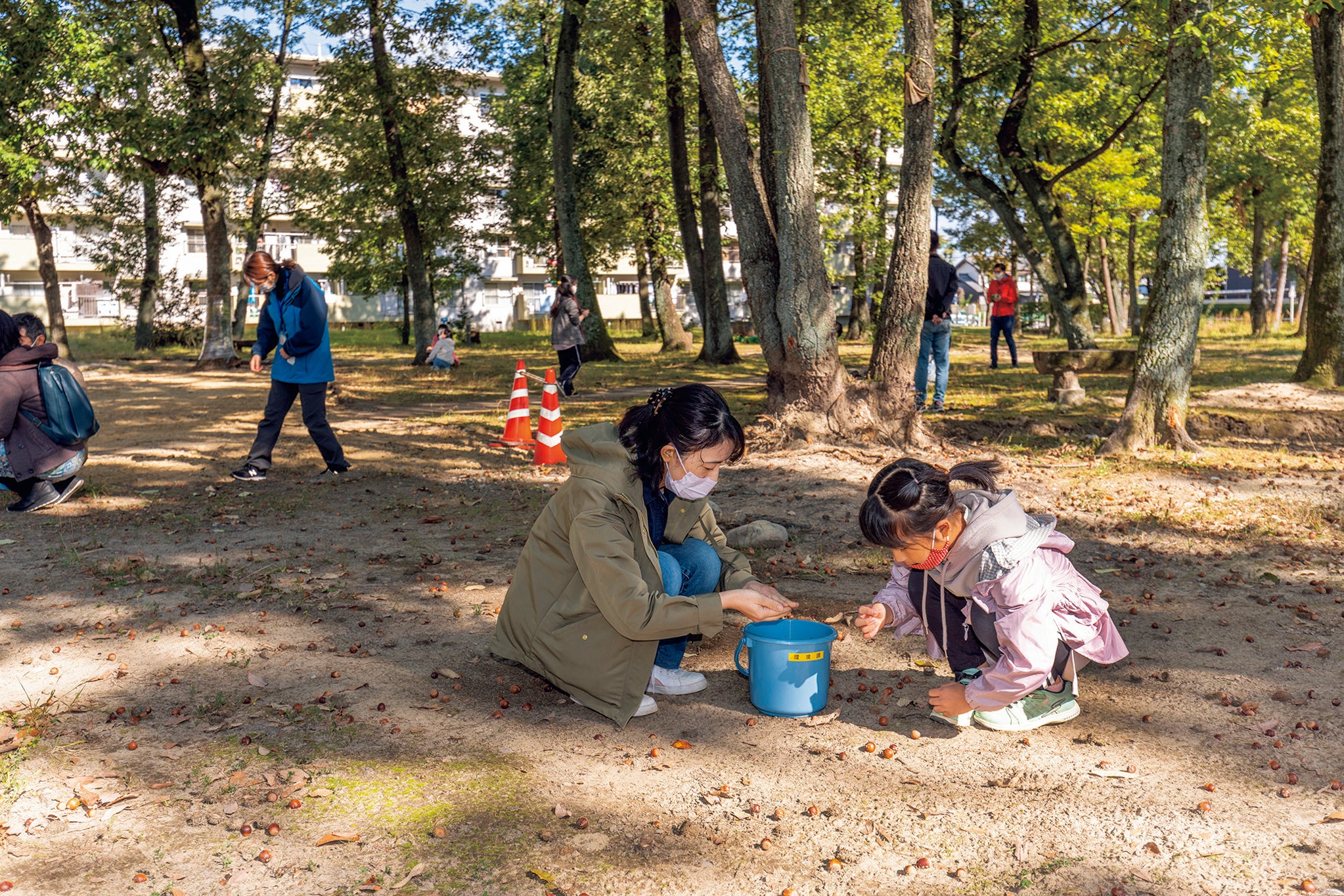 希少な自然林が残る江南団地内の森で、小中学生向けの環境学習会が開かれました。参加者はどんぐりを拾って植え付け、ペイントも楽しみました。