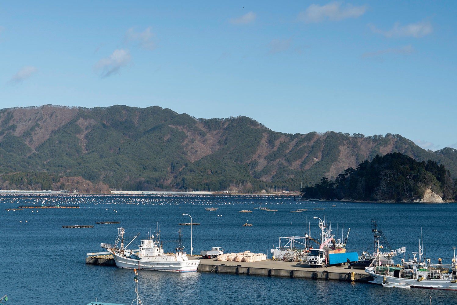 ＵＲが復興支援に関わったまちを紹介する連載第３回。山田湾で育つ良質なカキやホタテをはじめ山海の幸が豊富で、気候も穏やかな山田町を散策しました。