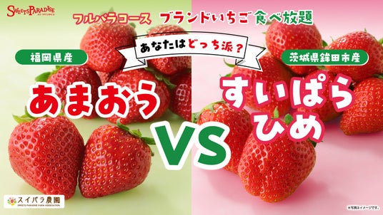 【スイパラでいちご狩り】いちごの王様「あまおう」 vs 2年連続大賞農家の「すいぱらひめ」を食べ比べ!贅沢「こぼれいちごのショートケーキ」も登場 【スイパラでいちご狩り】いちごの王様「あまおう」 vs 2年連続大賞農家の「すいぱらひめ」を食べ比べ!贅沢「こぼれいちごのショートケーキ」も登場