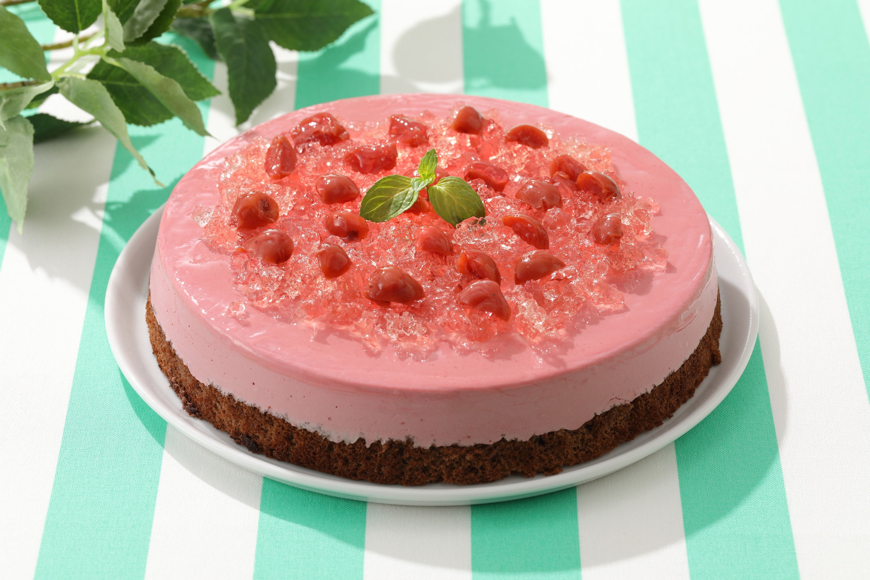 サワーチェリーのムース