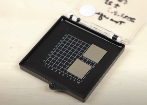 提供：理化学研究所