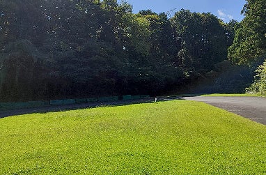 西側デイキャンプ場