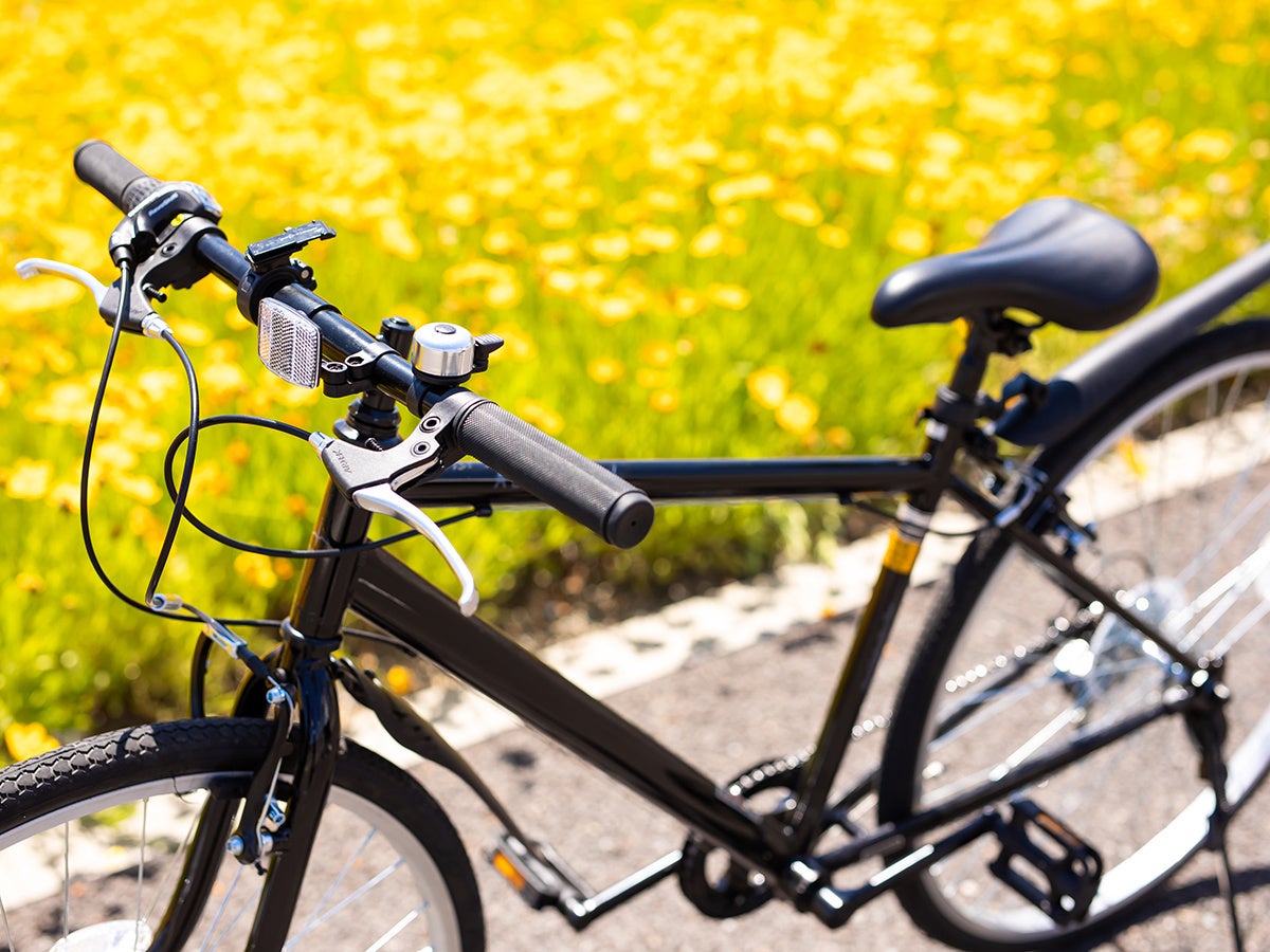 写真はイメージです