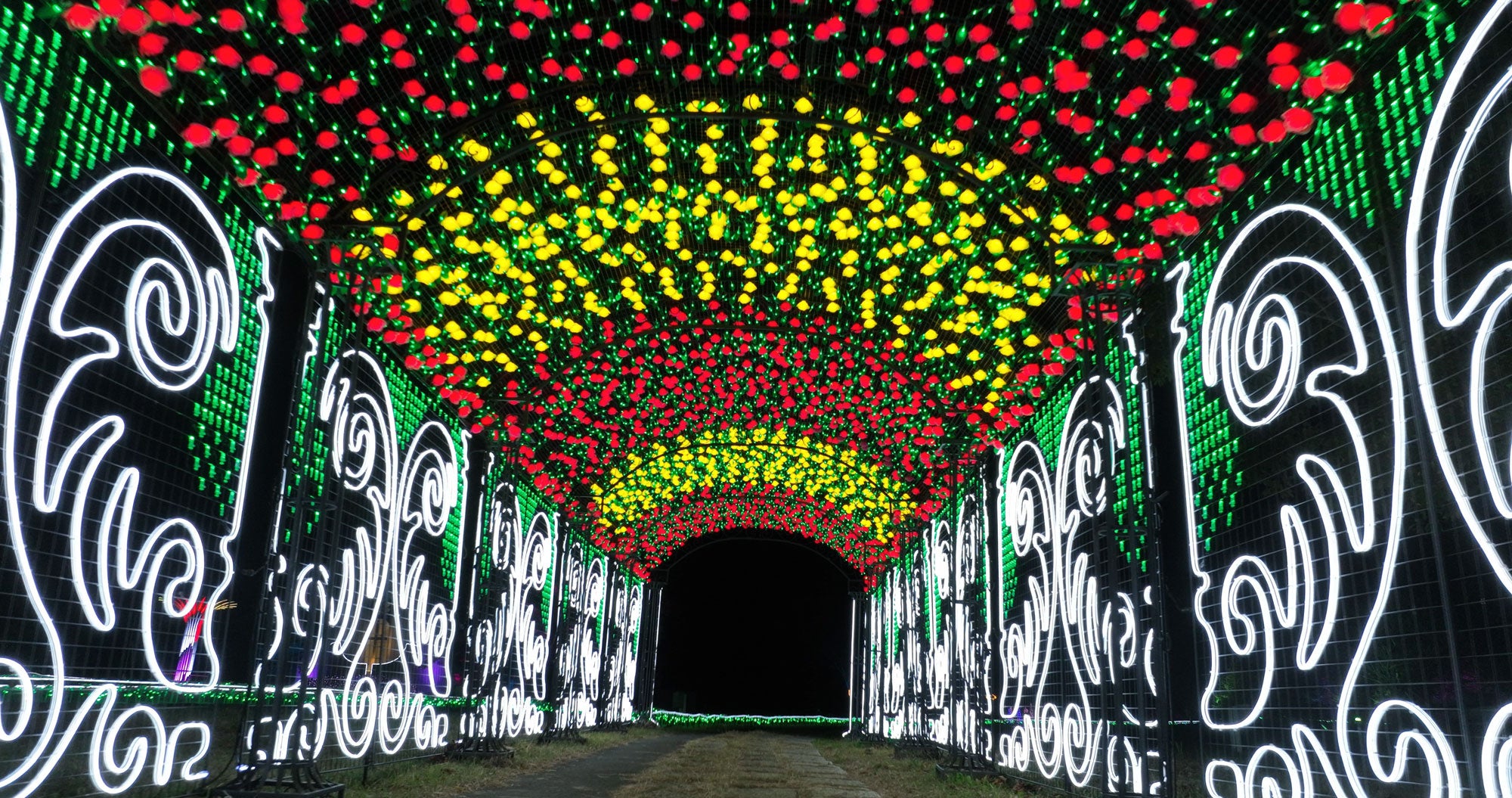 黄と赤のローズドーム