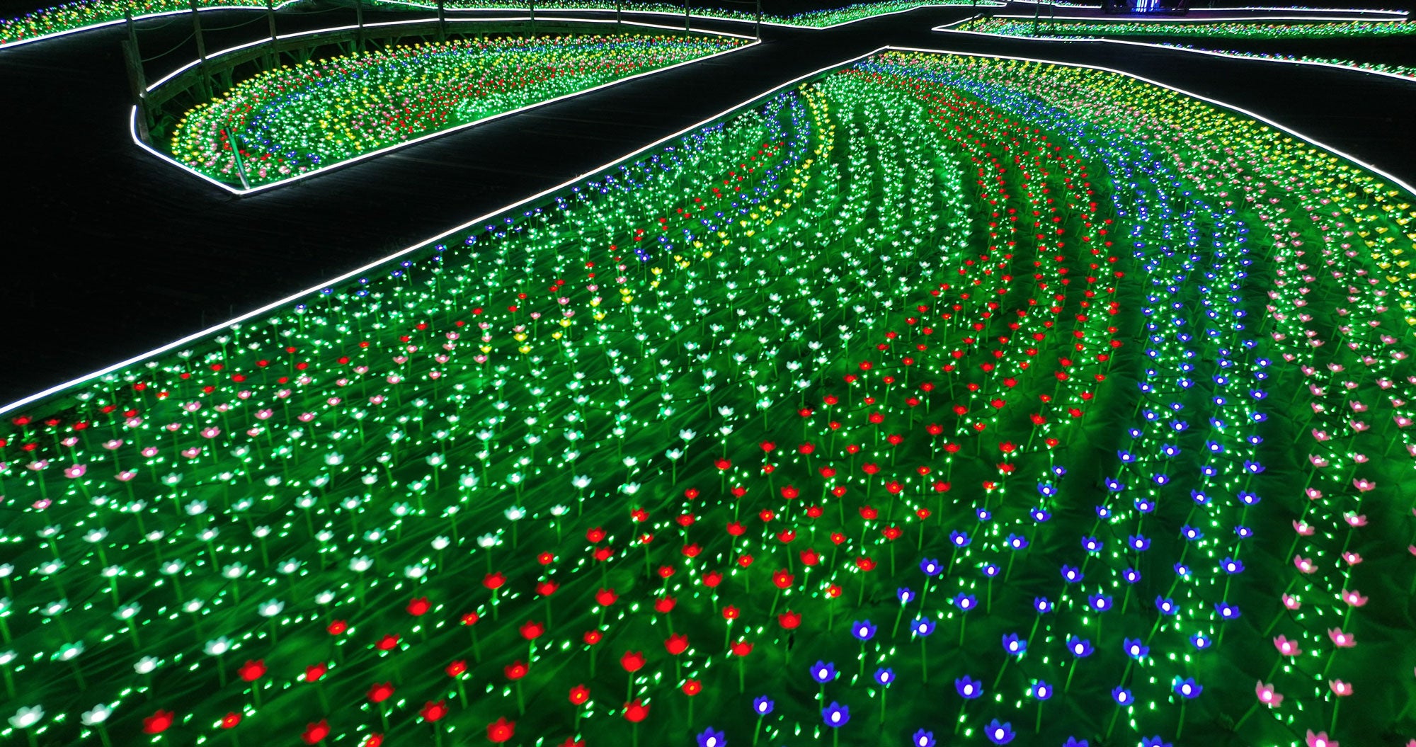 夏のフラワーガーデン