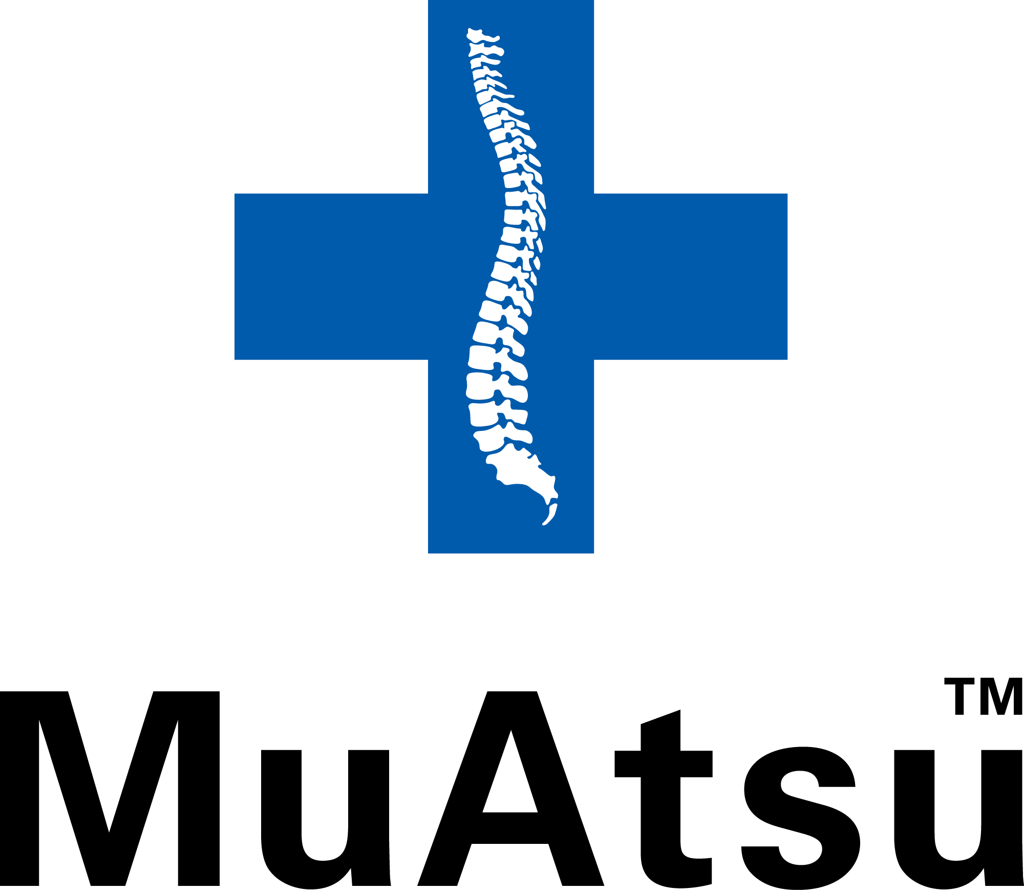 ムアツ布団　2023年　直営店購入　昭和西川　美品　綺麗　muatsu 老舗寝具メーカー昭和西川の最上位ブランドMuAtsu+（ムアツプラス