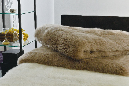 昭和西川「100年羽毛」「50年ムートン」「30年真わた」のビジュアルを