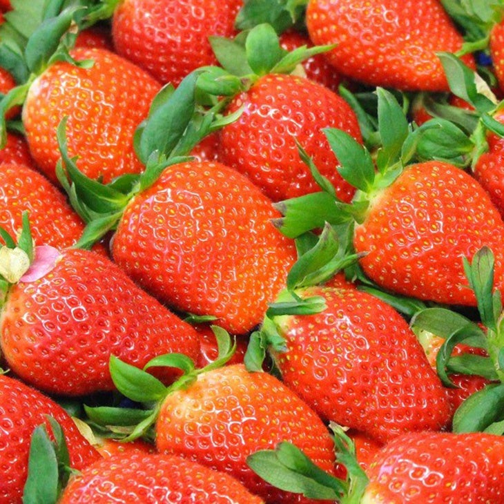 ※画像はイメージです