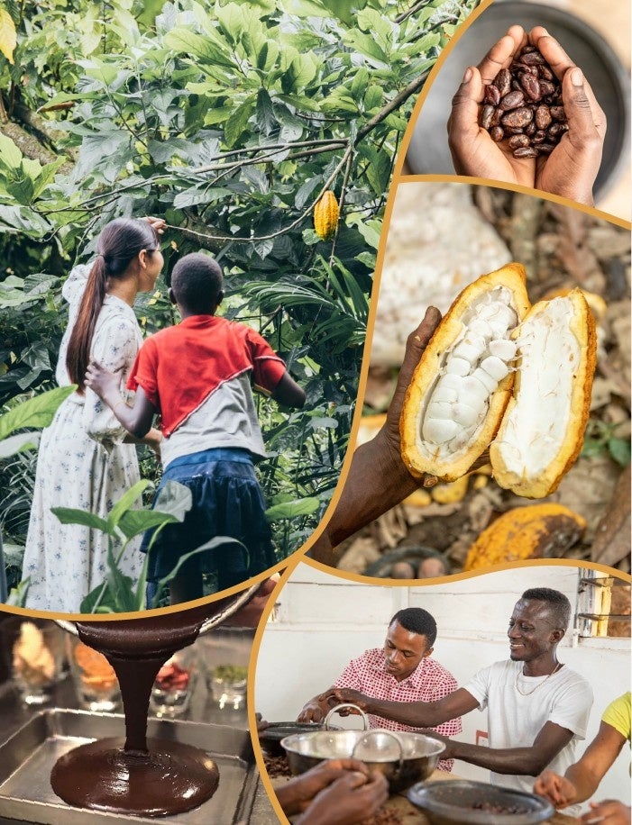 西武池袋本店】約120ブランドを品ぞろえ！1月20日から「チョコレート