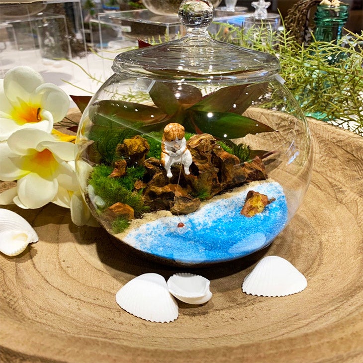 西武池袋本店 癒しの 苔テラリウム ポップアップショップ 株式会社そごう 西武のプレスリリース 西武池袋本店 癒しの 苔テラリウム ポップアップショップ 株式会社そごう 西武のプレスリリース