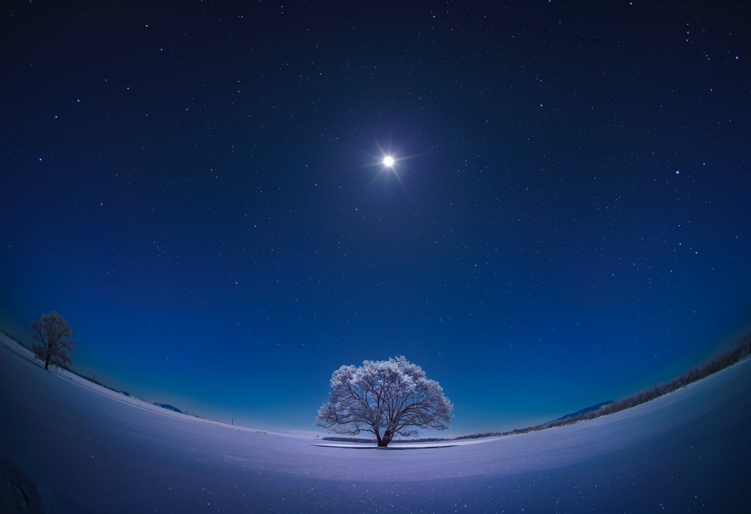 《月光浴びるハルニレの木》撮影地：北海道 (C)KAGAYA