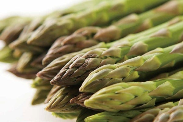 千歳　千歳観光連盟／朝採れアスパラ（150g）864円