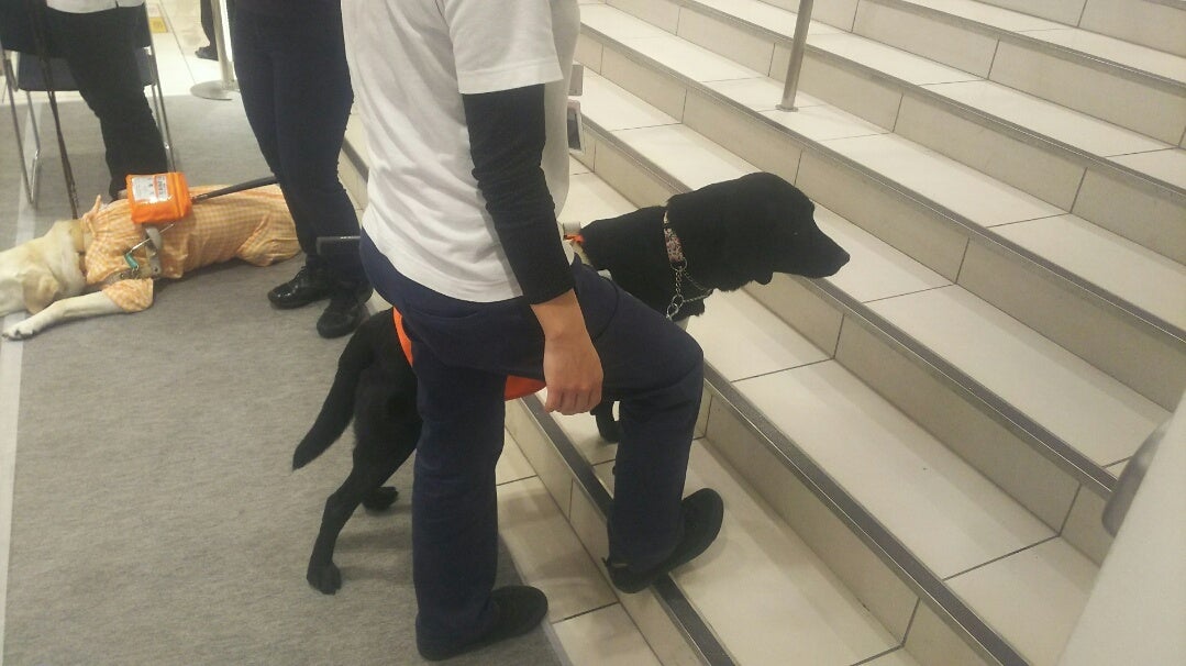 過去に開催したデモンストレーションの様子