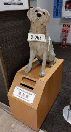 西武東戸塚Ｓ.Ｃ.に設置している盲導犬募金箱「ローラ」ちゃん