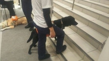 過去に開催した他店舗でのデモンストレーションの様子