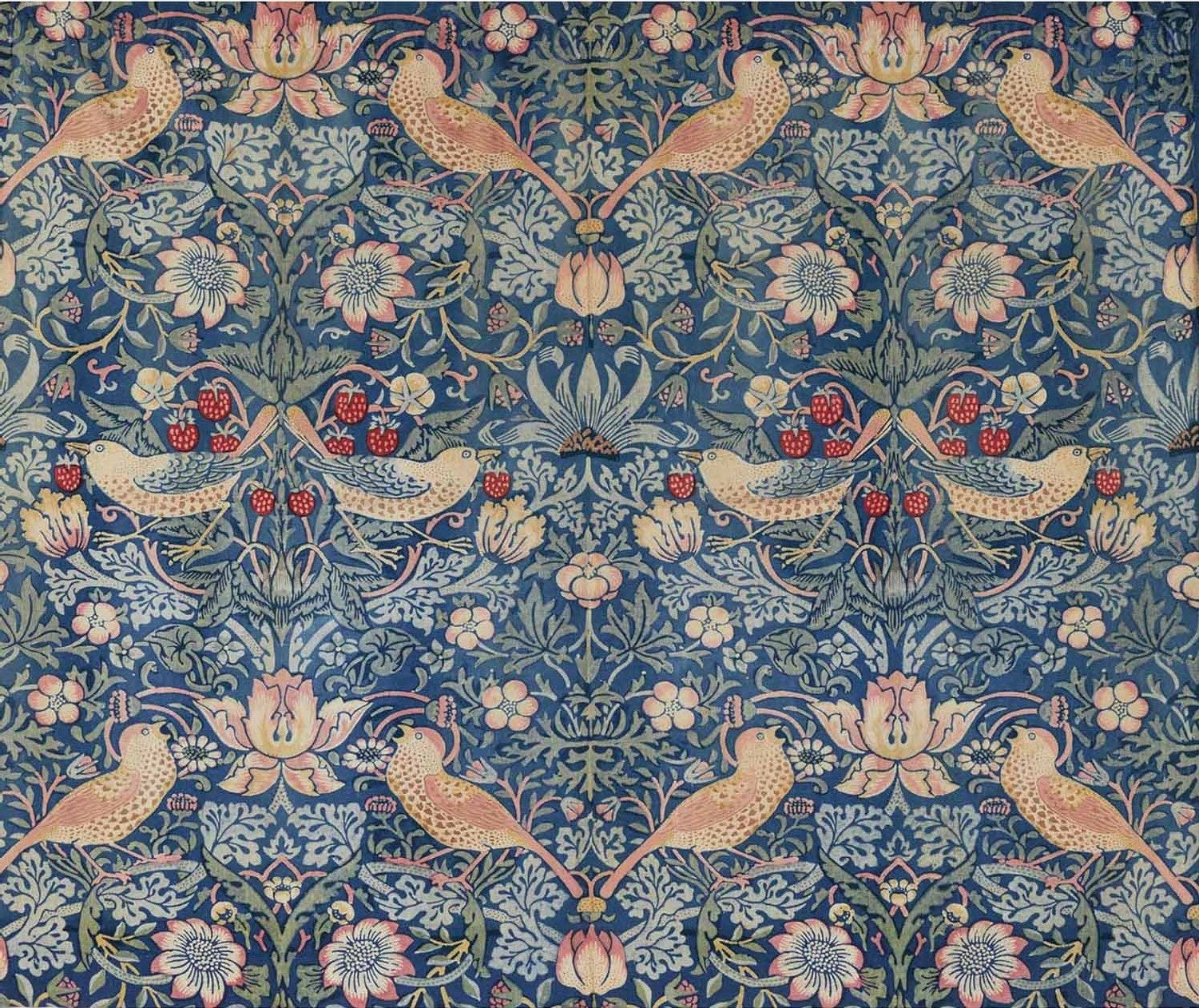 Photo (C) Brain Trust Inc.