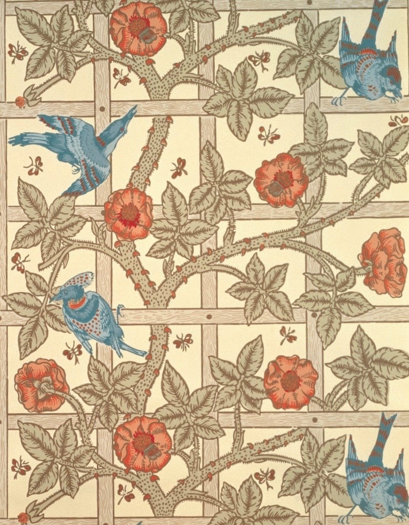 Photo © Brain Trust Inc.