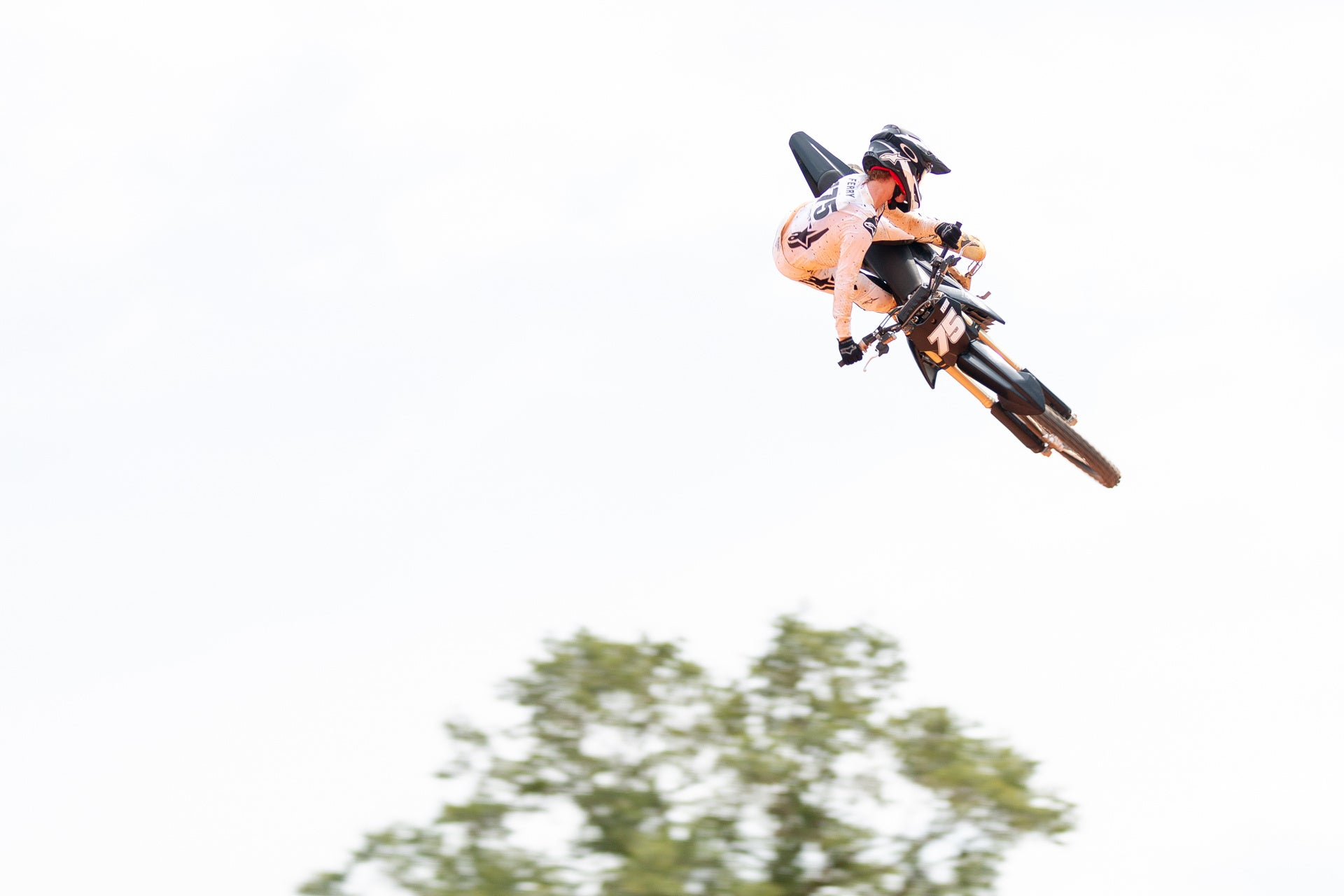 エヴァン・フェリー