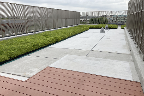 ▲緑を多く取り入れた屋上テラス