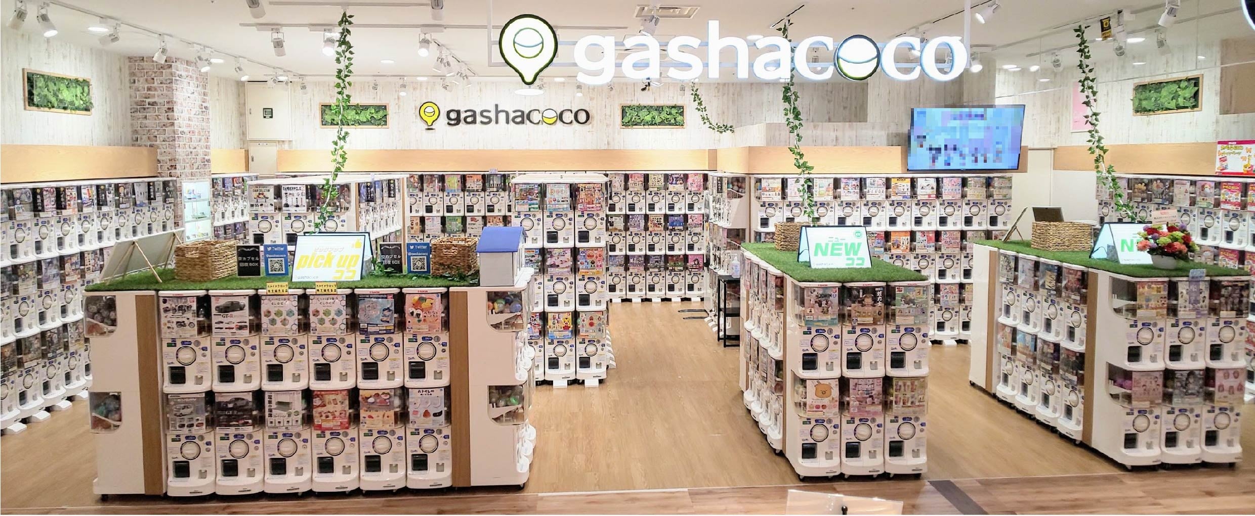 gashacoco店舗画像②