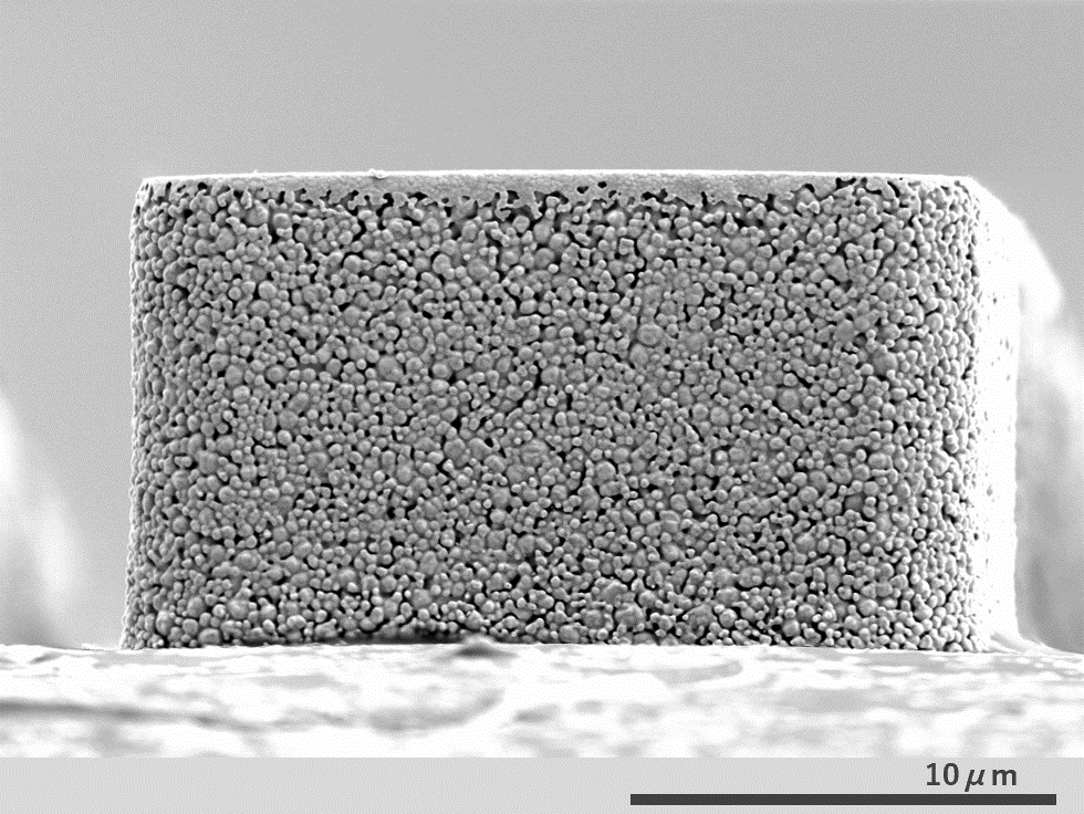 AuRoFUSE™プリフォームの側面SEM画像