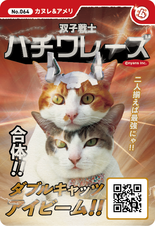 豆猫 ニャンズカード 13枚セット 豆猫 ニャンズカード 13枚