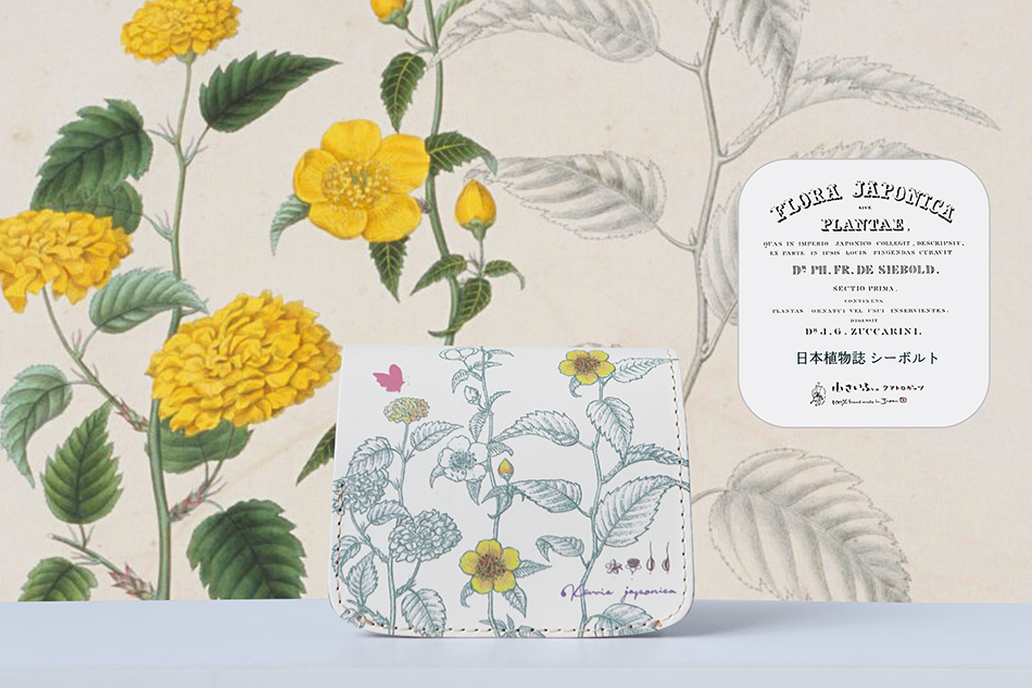 フランス 植物標本 アンティーク francn 古小物 らんまん フランス 植物標本 アンティーク francn 古小物 らんまん 1946～47年の