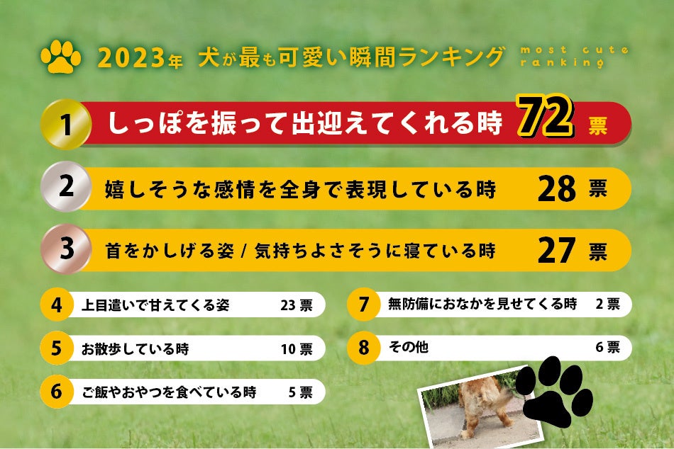 犬好き 2023年 犬が最も可愛い瞬間ランキング】ダントツ1位を獲得したの