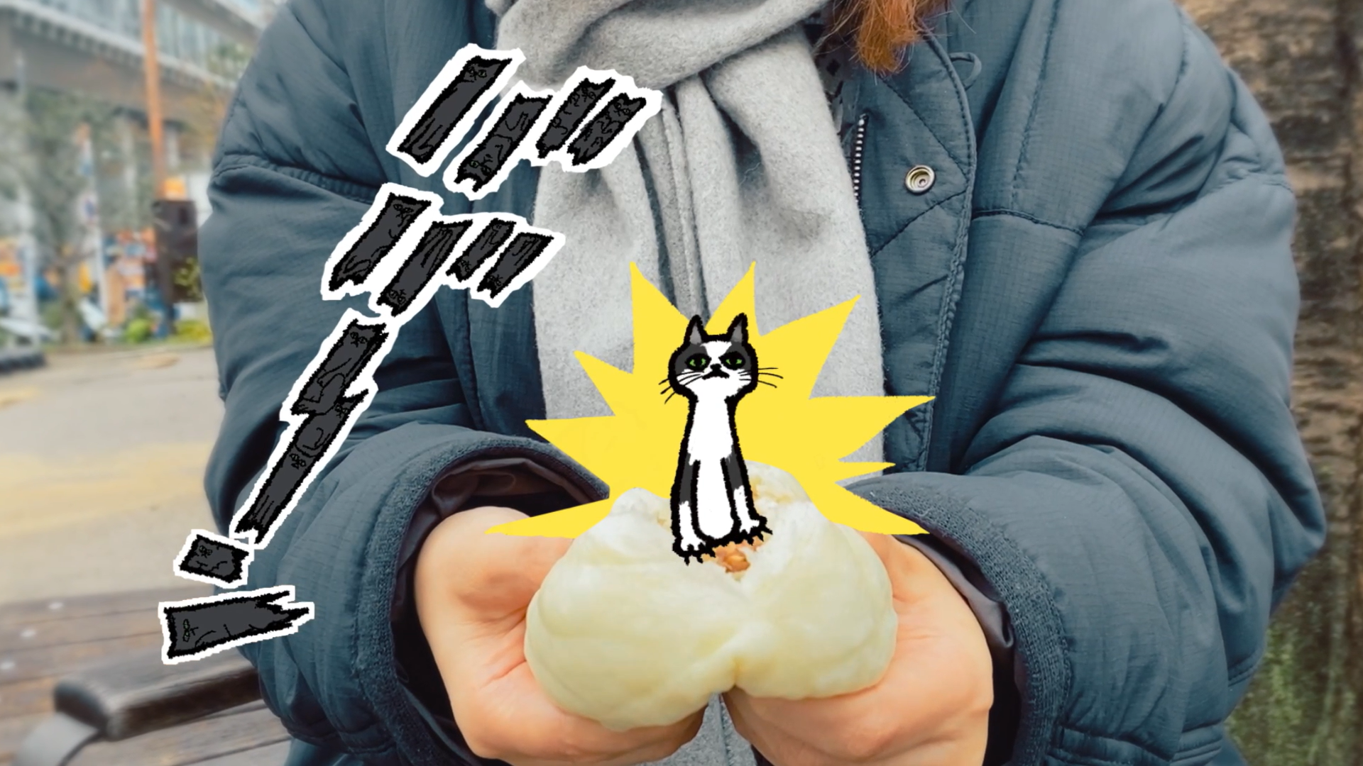 こんなかんじで、予期せぬところからねこが現れます