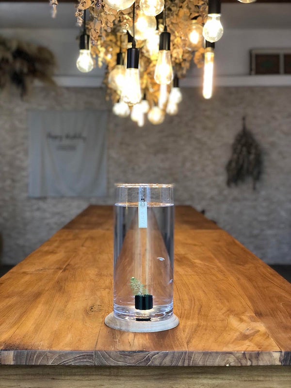 第7回 グッドアクアリウムデザイン賞2023 CRYSTAL Prize／めだかボトルリウム-TUTU-