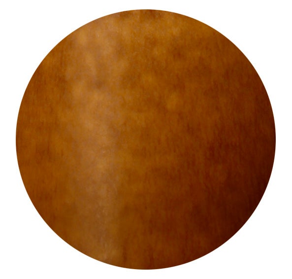 美濃伊賀（キャメル）