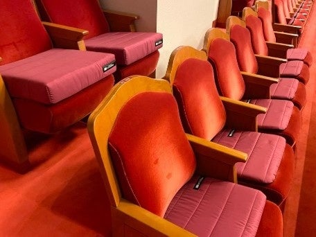 「エアウィーヴ クッション 南座」