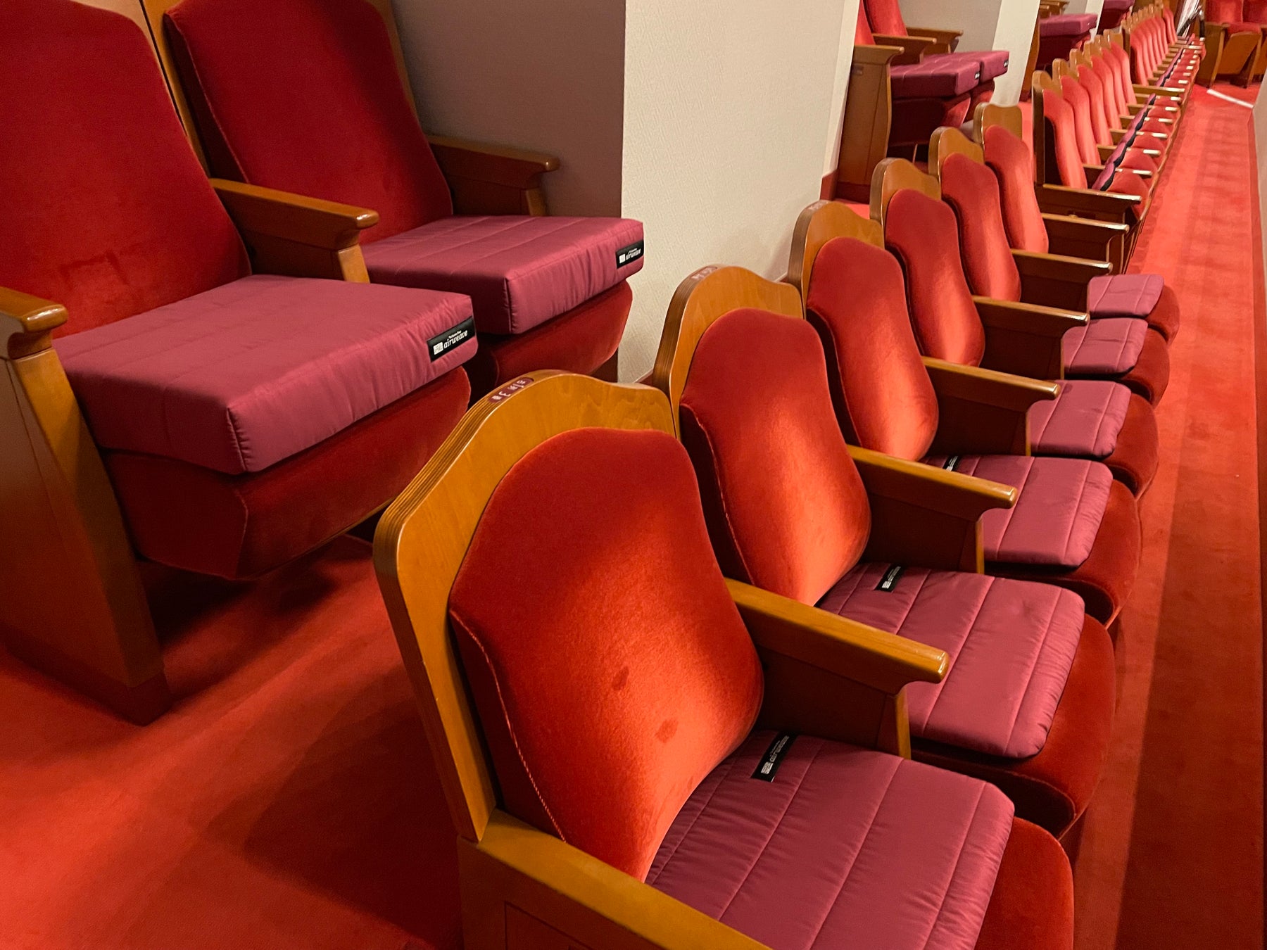 「エアウィーヴ クッション 南座」