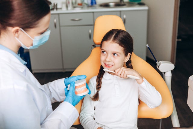 11月8日は「いい歯の日」。日本人を悩ませるむし歯や歯周病は”歯の形”のせいだった！？