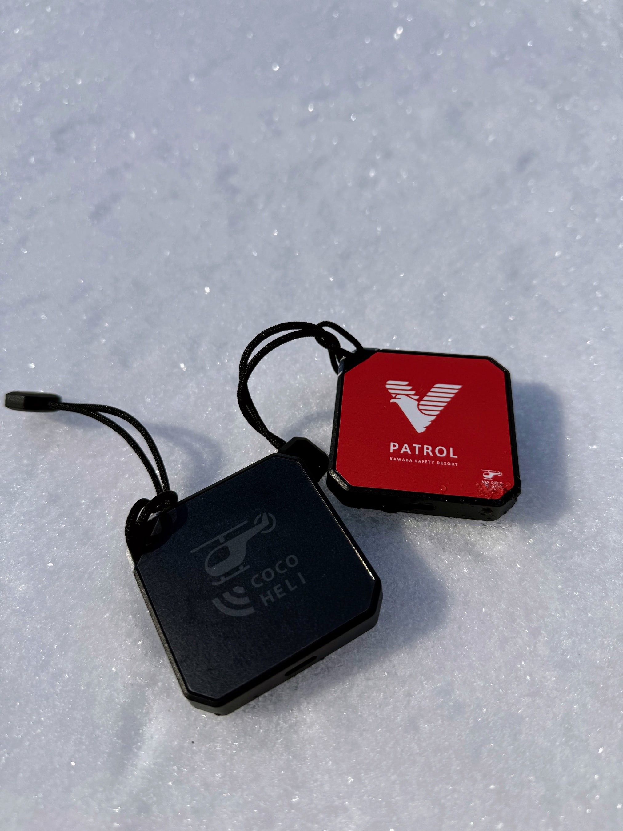 雪山登山のサポート