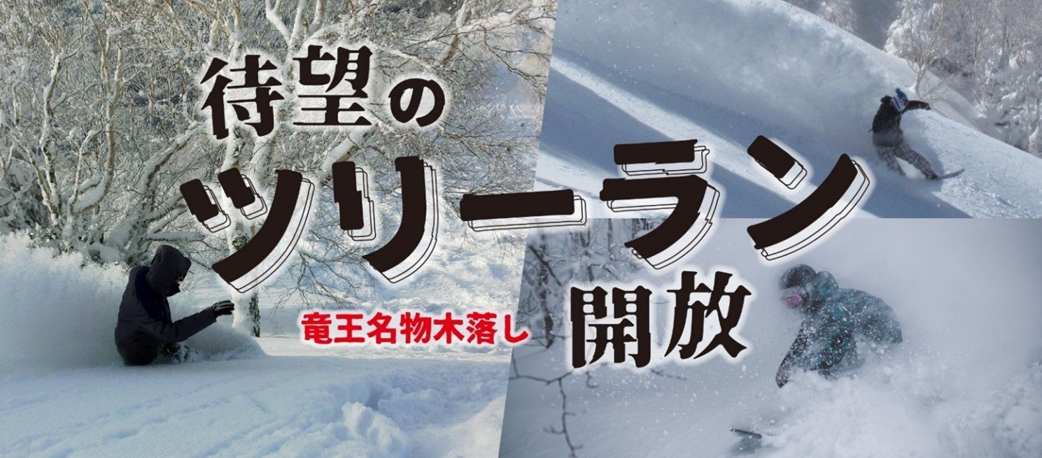 最大斜度36度、最長1,400mの非圧雪！長野県 竜王スキーパークにツリーランエリアが誕生！