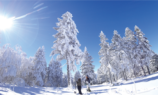 竜王スキーパーク