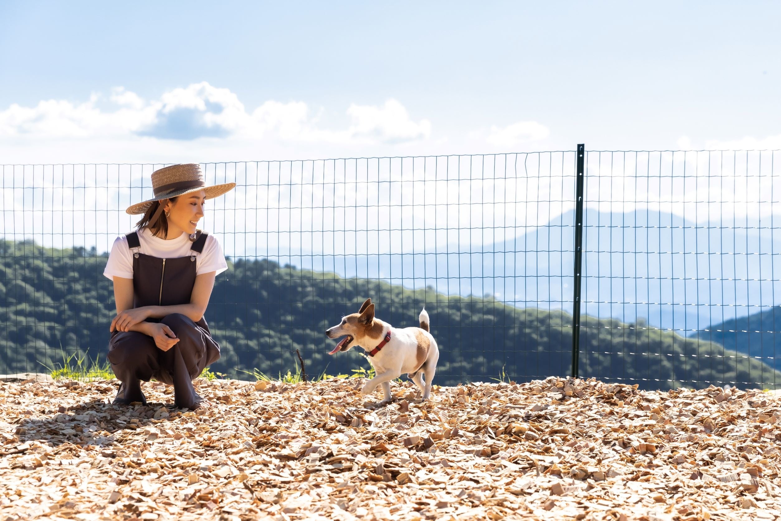 ドッグラン付き